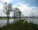 12 osób z Ostrołęki znajdzie pracę przy zabezpieczeniu terenów zagrożonych powodzią i lokalnymi podtopieniami
