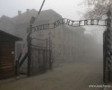 Podpisz petycję przeciw &#8222;polskim obozom koncentracyjnym&#8221; 