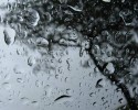 Pogoda dla Ostrołęki: Intensywne opady deszczu. W Narwi rośnie poziom wody 