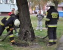 Płonęło drzewo przy ulicy Goworowskiej (ZDJĘCIA)