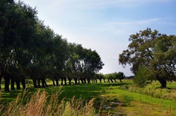 fot. rzekun.pl