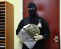 Ostrołęcka policja zlikwidowała plantację marihuany. Przejęto ponad kilogram narkotyków (WIDEO, ZDJĘCIA)