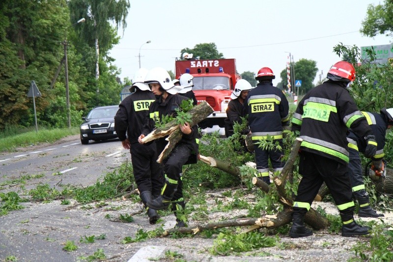 Straż pożarna usuwa konar drzewa na ul. Warszawskiej