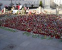 Warszawa: Straż miejska usuwa tulipany dla śp. Marii Kaczyńskiej 