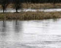 Jezioro Bobięcińskie: Utonięcie. Znaleziono ciała 13-latka i jego ojca 