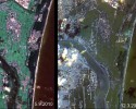 Trzęsienie ziemi w Japonii: Zdjęcia satelitarne