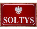 Wybory sołtysów w gminie Olszewo-Borki (WYNIKI)