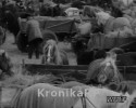 Archiwalne nagranie z targu w Myszyńcu: Tak handlowało się 40 lat temu [VIDEO] 