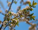 Pogoda dla Ostrołęki: Wielkanoc będzie bardzo ciepła