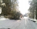 Uwaga, powalone drzewa na drogach! Przewracają się pod ciężarem śniegu (ZDJĘCIA INTERNAUTY)
