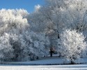 Pogoda dla Ostrołęki: W weekend wróci mróz