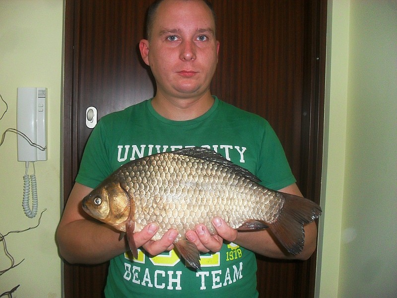 Piotr Deptuła złowił karasia złocistego długości 39 cm