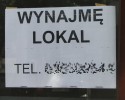 fot. M. Kowalczyk