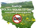 Nie dla GMO: &#8222;W Polsce nie będzie zdrowej żywności&#8221; [VIDEO] 