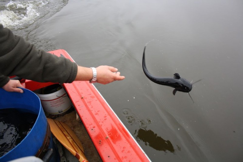 fot. PZW Narew koło 38