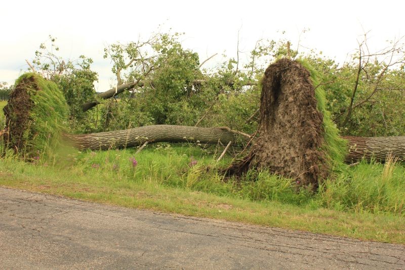 fot. eOstroleka.pl