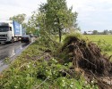 Potężna burza nad powiatem ostrołęckim: Wiatr zrywał dachy i powalał drzewa [VIDEO, ZDJĘCIA] 