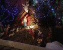 Szopki bożonarodzeniowe w ostrołęckich kościołach [ZDJĘCIA] 