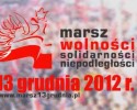 Marsz Wolności, Solidarności, Niepodległości [VIDEO] 