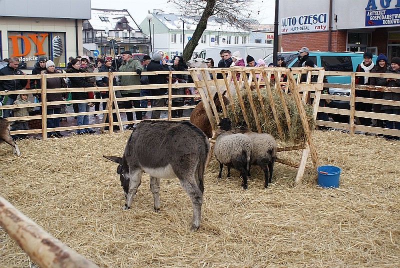 fot. eOstroleka.pl