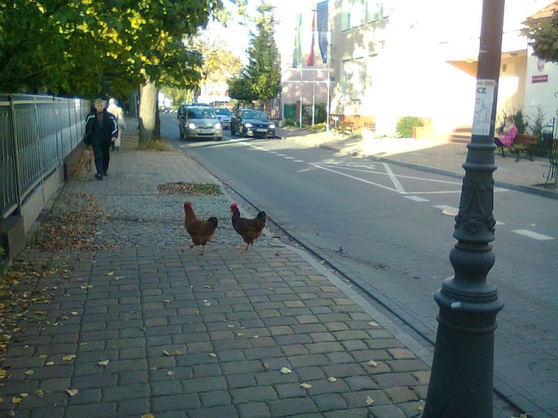 fot. czytelnik