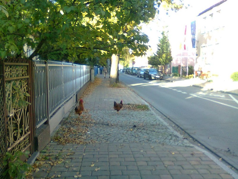 fot. czytelnik