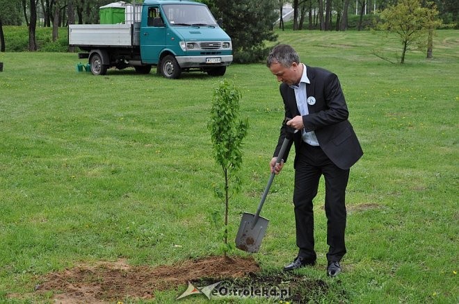 Projekt &#8222;Sadzimy Drzewa na Mazowszu&#8221; [ZDJĘCIA]