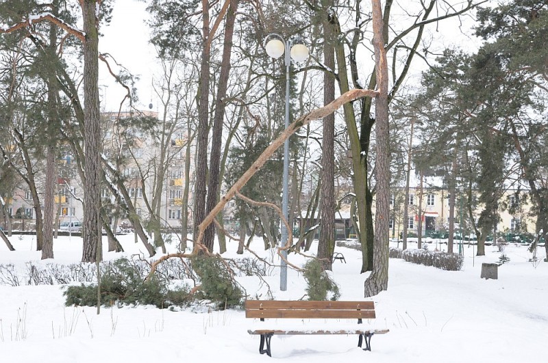 fot. eOstrołęka.pl