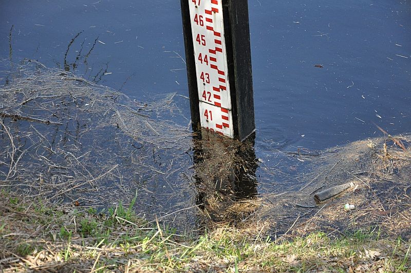 fot. eOstrołęka.pl