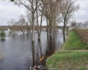 Opada poziom rzek w województwie mazowieckim