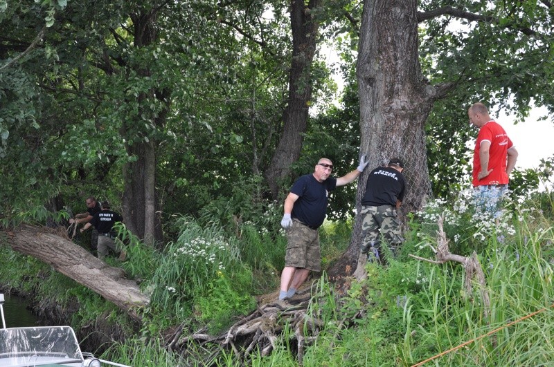 Społeczna Straż Rybacka PZW Narew 38 zabezpieczała drzewa przed bobrami fot. eOstrołęka.pl