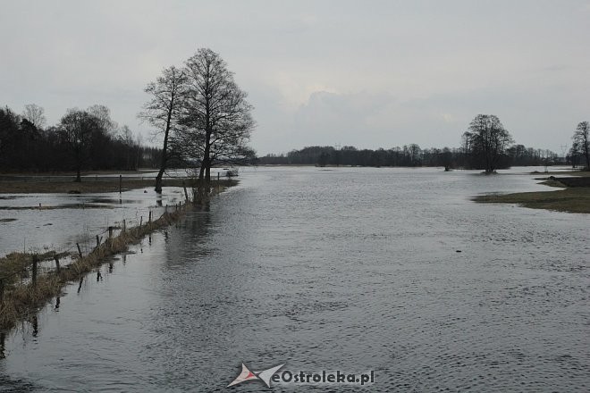 fot. eOstrołęka.pl