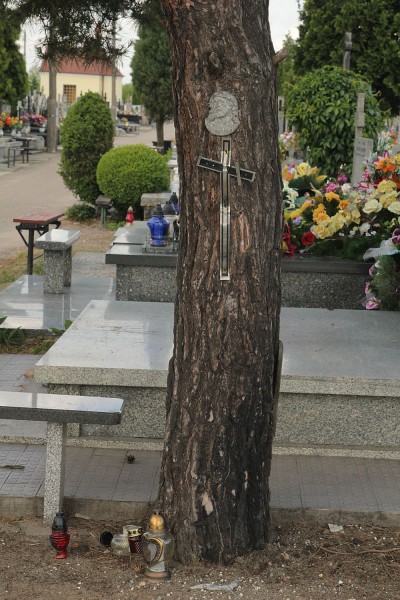 fot. eOstrołęka.pl