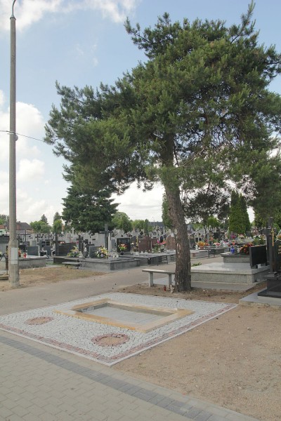 fot. eOstrołęka.pl