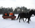 &#8222;Motylki&#8221; pożegnały ferie na kuligu [VIDEO, ZDJĘCIA]