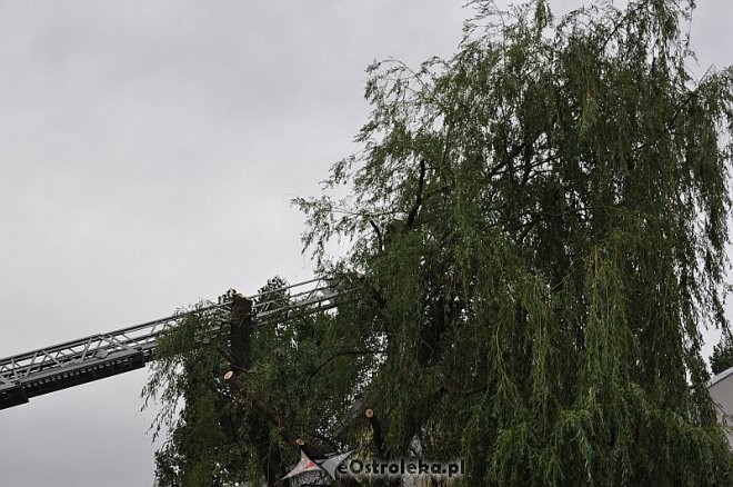 Połamany konar zwisający nad chodnikiem przy ulicy Parkowej usuwały dwa zastępy PSP Ostrołęka, fot. eOstrołęka.pl