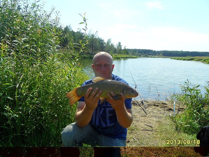 Lin 46 cm