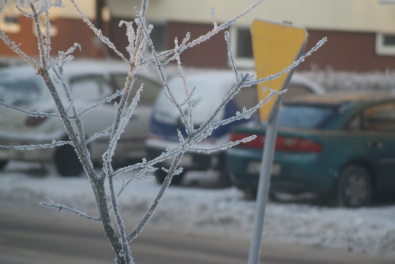 Już 68 osób zmarło z powodu wychłodzenia