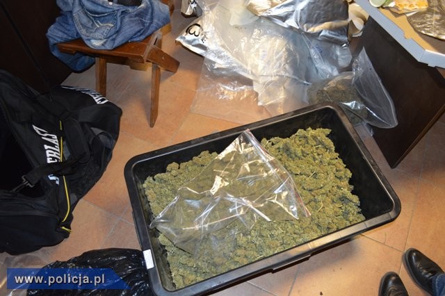 fot. policja.pl