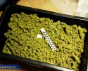 Kryminalni zabezpieczyli 36 kg narkotyków [ZDJĘCIA]