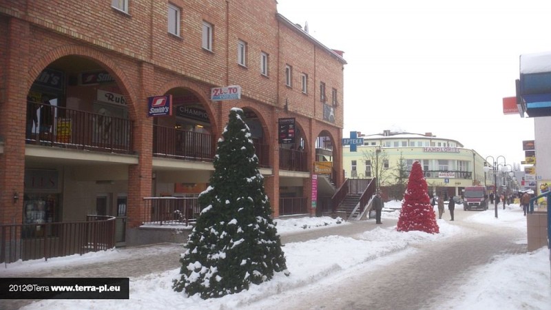 fot. UM Ostrołęka