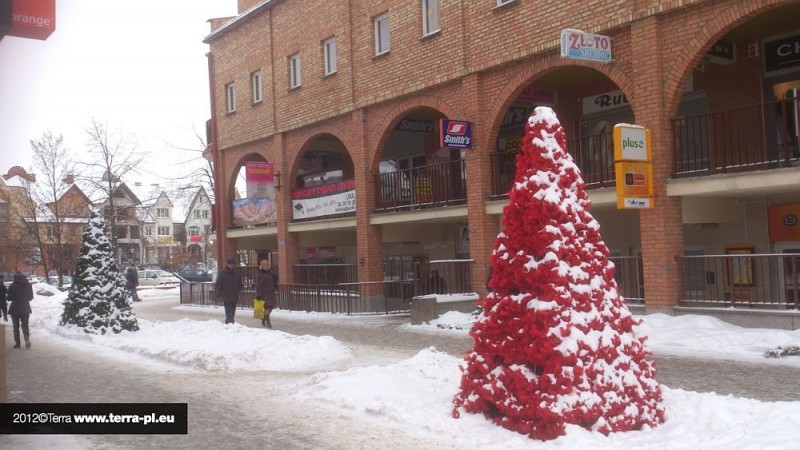 fot. UM Ostrołęka