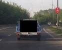 Na dobry początek dnia: Osy czy pszczoły? [FOTO]