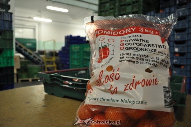 Nierentowne ceny upraw pomidorów są bezpośrednią przyczyną wycofania się z ostrołęckich szklarni białostockiej spółki PGO, fot. eOstrołeka.pl