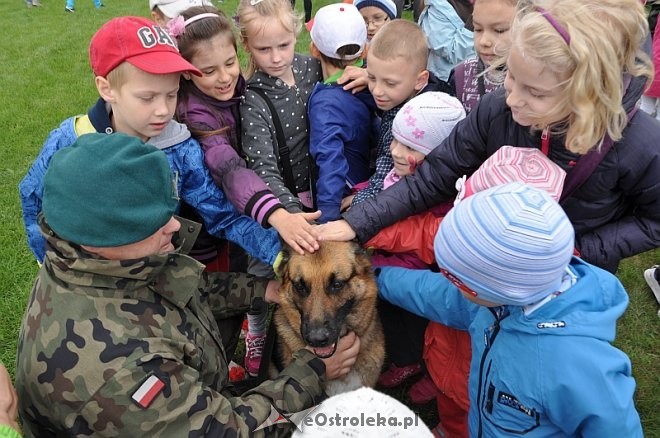 fot. eOstrołęka.pl