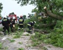 Złamany konar na ulicy Wioślarskiej