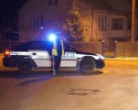 Tragedia w Łodziskach: Po zderzeniu z łosiem zginął kierowca osobówki