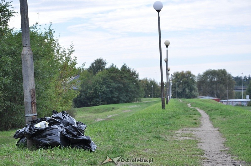 Akcja &#8222;Sprzątanie świata - Polska 2013&#8221; fot. eOstrołęka