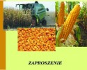 Gmina Czerwin: Pokaz sprzętu ziarna kukurydzy [PROGRAM]