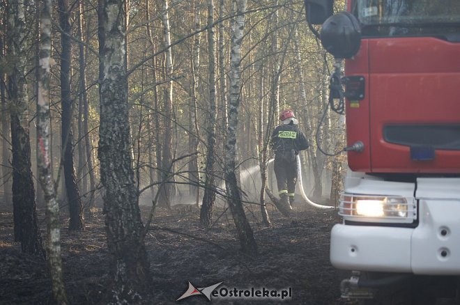 Gigantyczny pożar lasu w gminie Kadzidło, fot. eOstroleka.pl